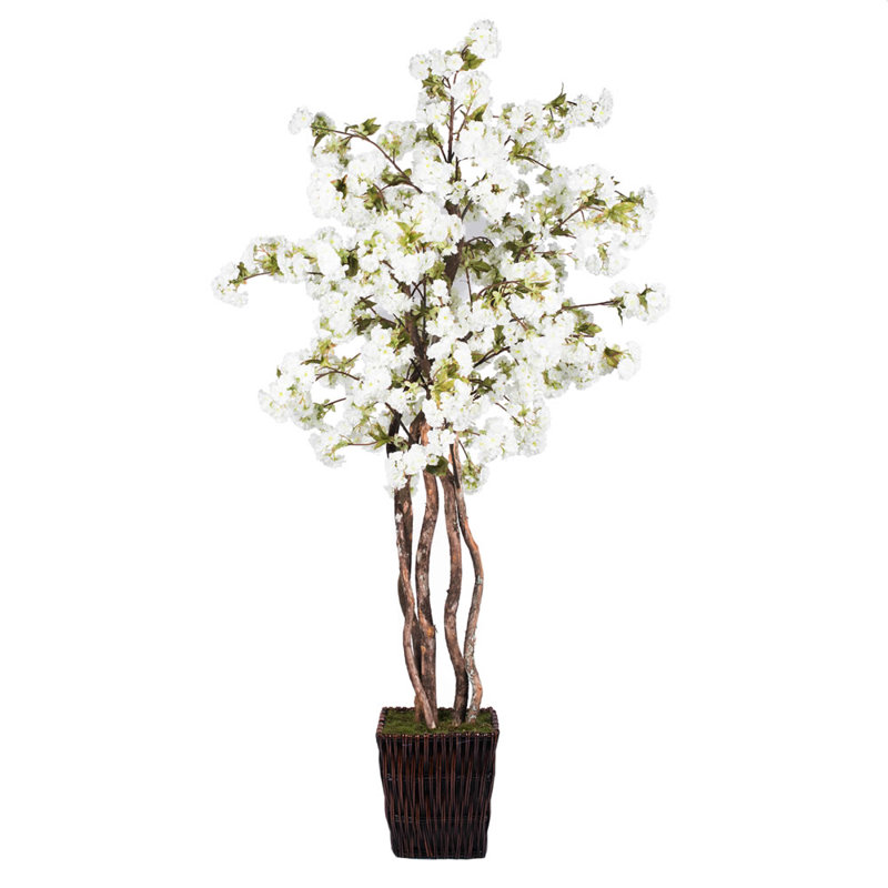 Bloomsbury Market Artificial Cherry Blossom Tree in Pot Wayfair